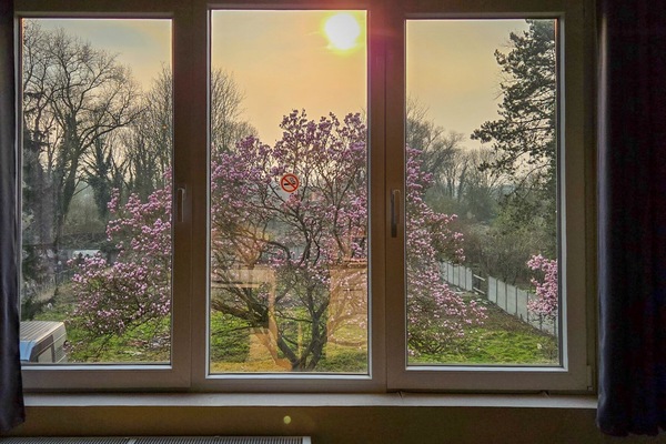 Vue de la propriété
