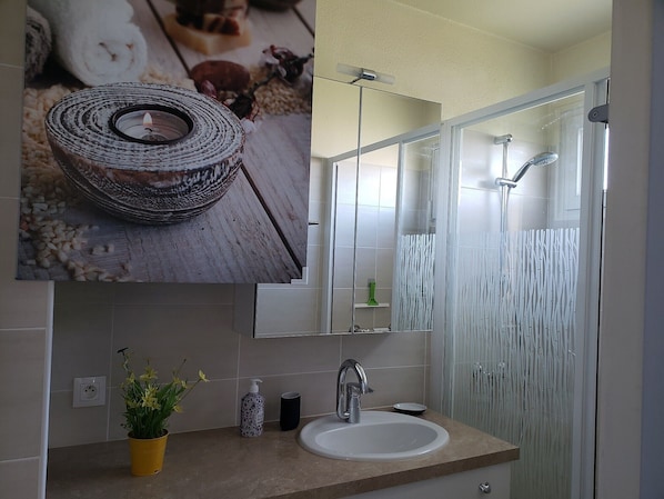 Shower, hair dryer, towels