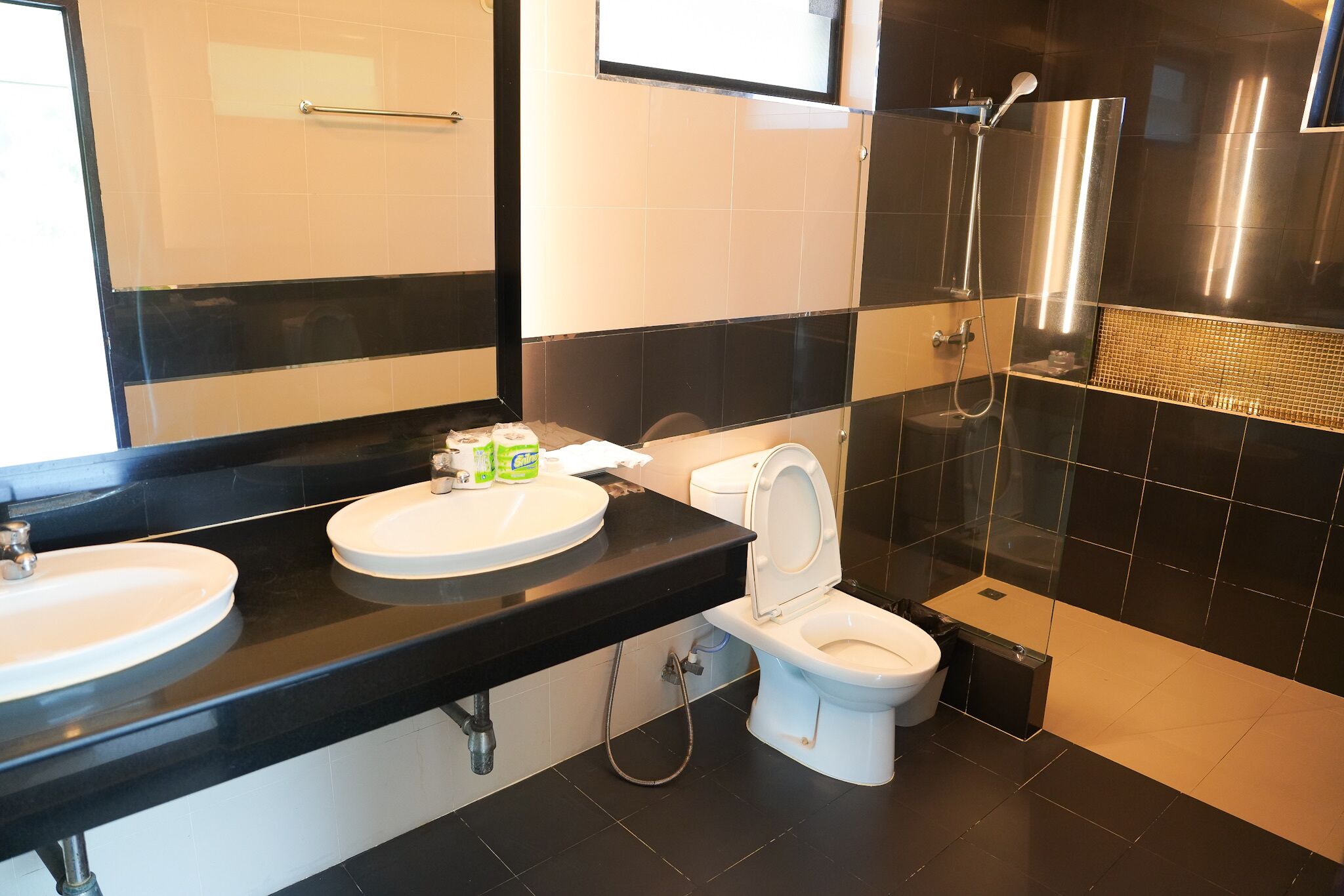 Een moderne badkamer met twee wastafels, een toilet en een douche.