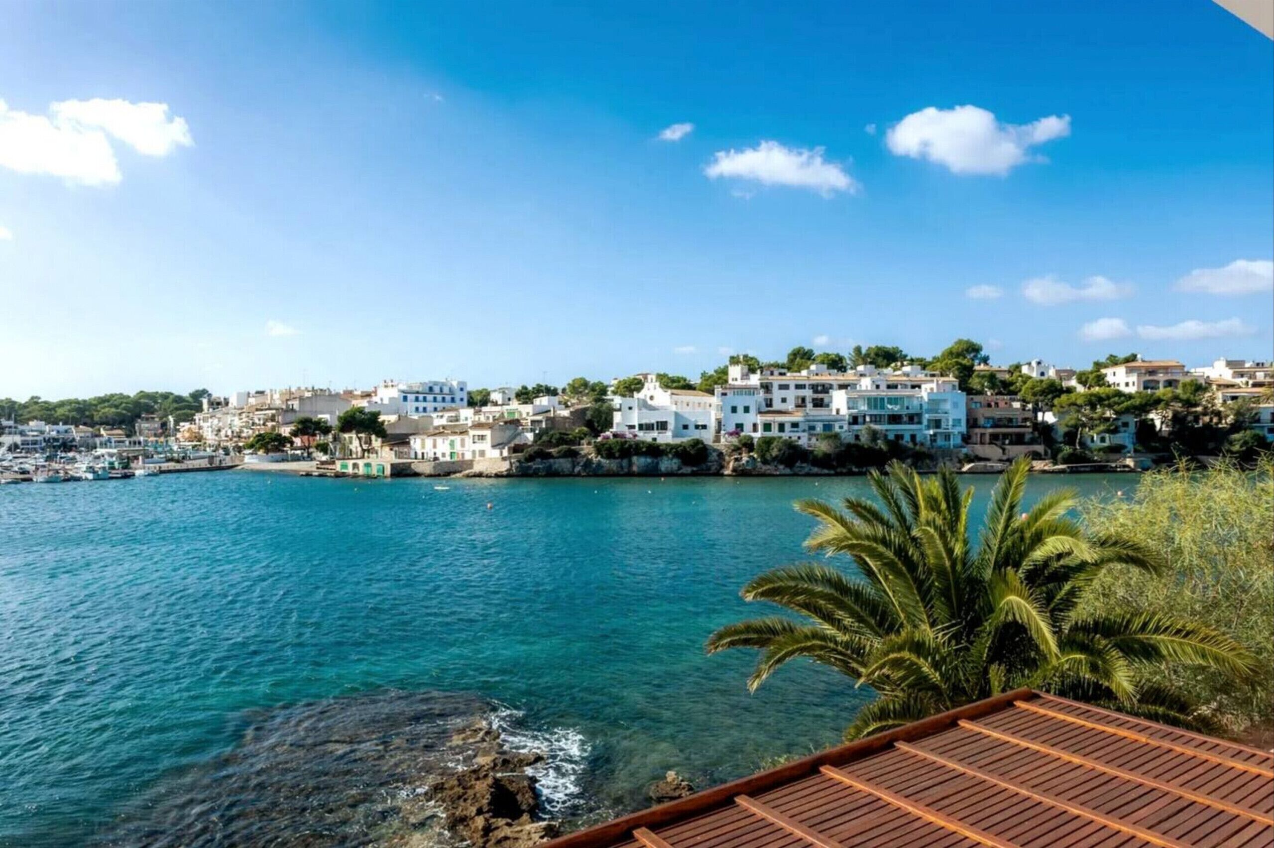 A coastal town with buildings along the waterfront, clear blue water, and a palm tree in the foreground.