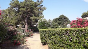 Un sendero de jardín bordeado de diversas plantas en flor y un seto bien cuidado.