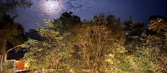 塔爾老虎度假村