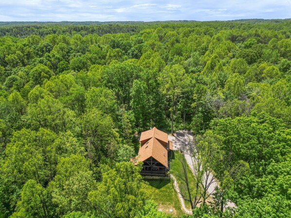 A cabin surrounded by dense forest, with a clear path leading to it.