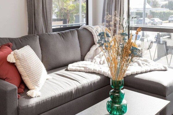 TV - Honey for the Money Warm Sunny 10 mins CBD (Christchurch)