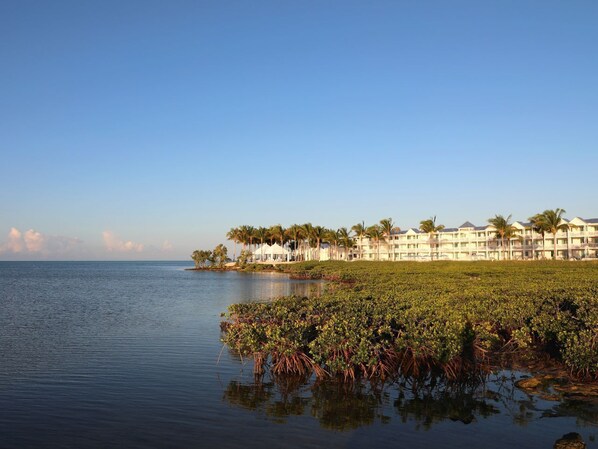 Un hotel frente al mar, con vista al agua, palmeras y una zona ajardinada.
