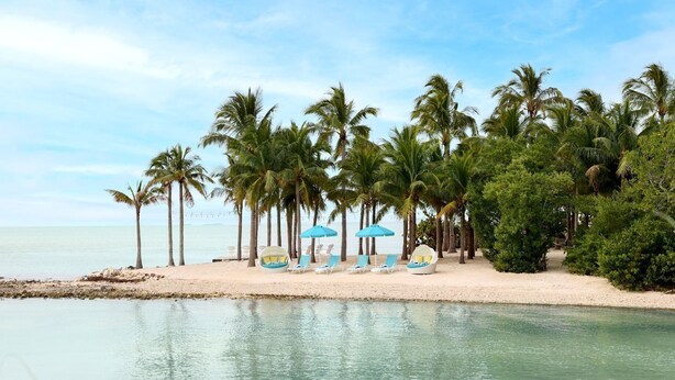 A beach with palm trees, a sandy shore, and a calm water body. - Marathon Beachfront | 2 Queens + Veranda (Marathon)