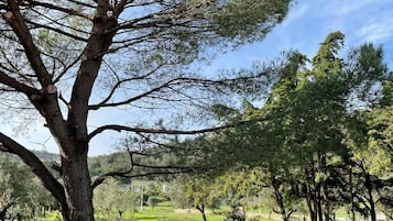 Área da propriedade