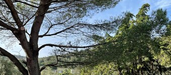 House in the Serras de Aire e Candeeiros Natural Park