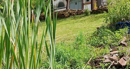 La Comté "Where the frogs sing