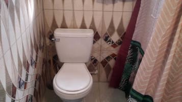 Shower, towels, soap, toilet paper