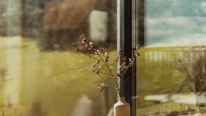 Un vase avec une branche de fleurs posée sur un rebord de fenêtre.