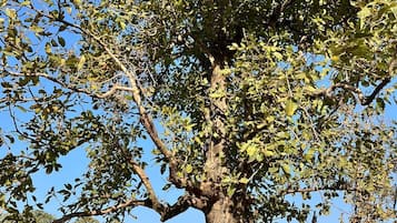 Mặt tiền nơi lưu trú
