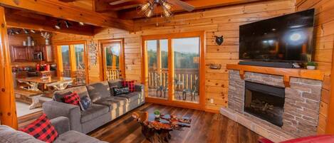 智能电视、壁炉、电子游戏、DVD 播放器