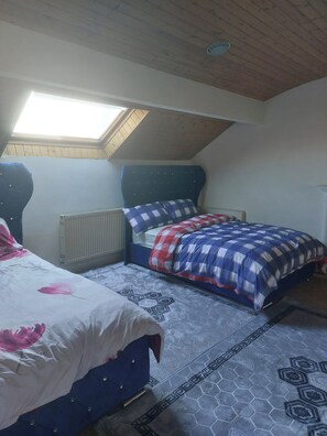 A bedroom with two beds, a skylight, a radiator, and patterned flooring. - Welsh Mountain Retreat With Studio Flat (Caernarfon)