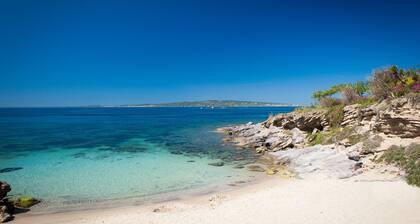 Apartment in the center near the sea