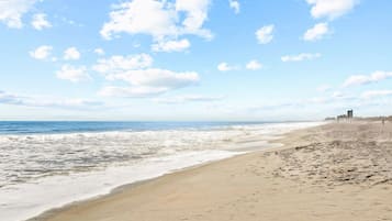 On the beach