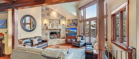 TV, fireplace, video games, DVD player