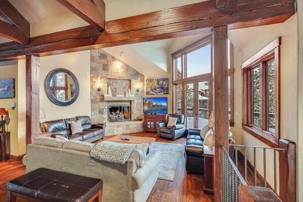 TV, fireplace, video games, DVD player