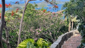 A stone pathway leading through lush greenery with a view of the ocean and hills in the background. - Expansive Island Chain Views! Lunazul Cottage, 2BR/2BA, Solar Power Backup (Coral Bay)