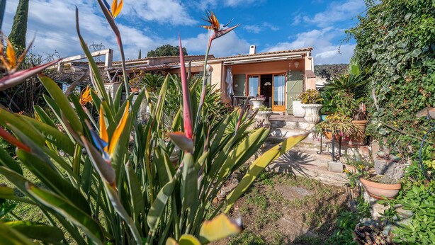 Ein Haus mit Garten, einer Vögelpfauenblume und einem strahlend blauen Himmel.