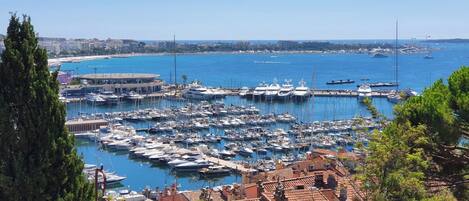Marina