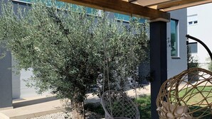 Un patio cubierto con una silla colgante, un árbol pequeño y un edificio al fondo.
