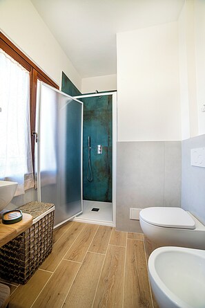 Shower, hair dryer, bidet, towels