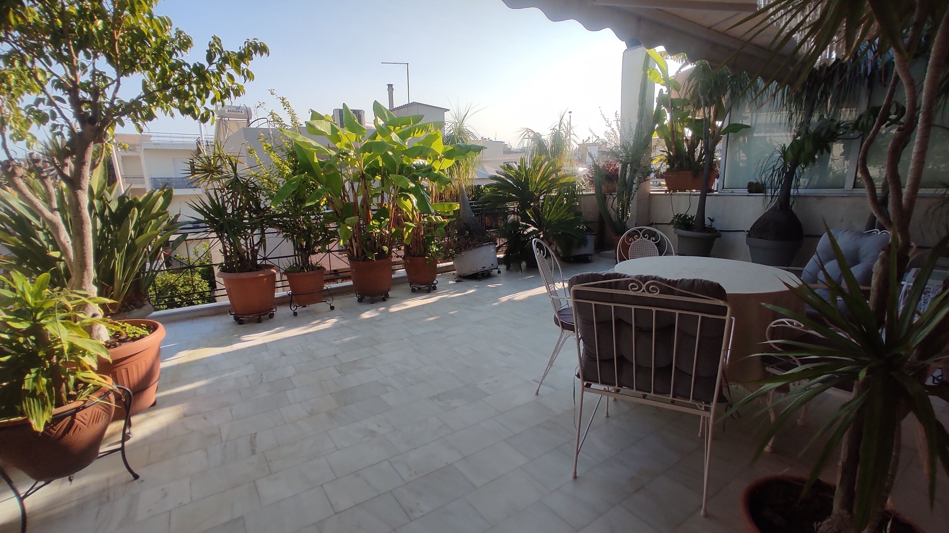 Eine Dachterrasse mit Topfpflanzen, einem Metallstuhl und einem Tisch.