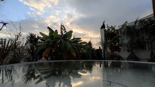 Ein Glastisch spiegelt einen Garten wider, mit Bananenstauden und einem Gebäude im Hintergrund.