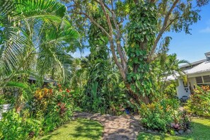 Un exuberante jardín con un sendero pavimentado, diversas plantas tropicales y un edificio al fondo.