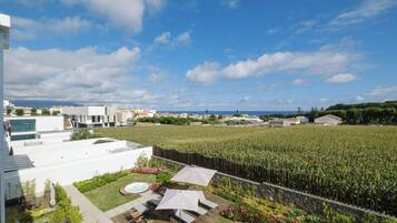 Vue depuis lâhĂ©bergement