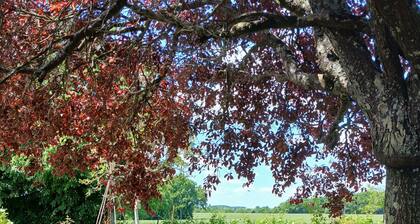 Appartement Cosy Ă la campagne