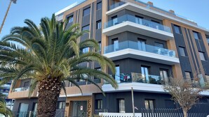 A modern multi-story building with balconies and a palm tree in the foreground.