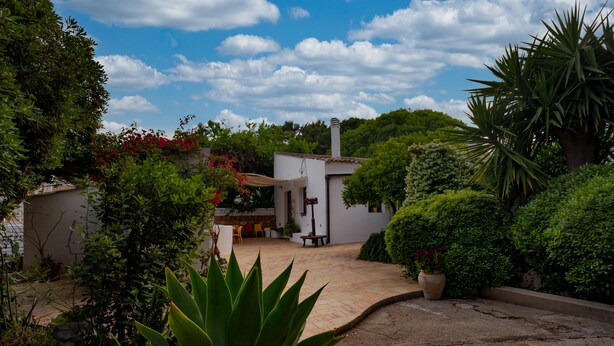Un patio con un edificio blanco, plantas en macetas y una planta de agave grande.