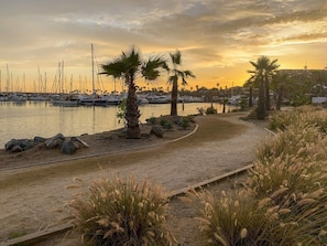 A marina with boats docked, a curved pathway, and palm trees. - Playa Plateada Beach House (Ensenada)