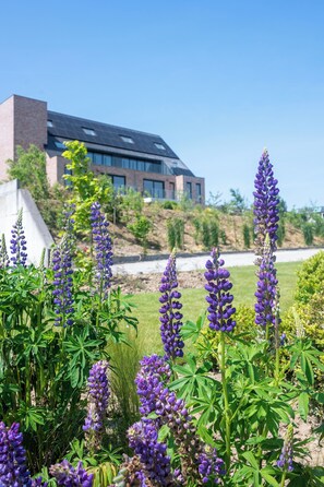 Exterior - Flanders Cobblestone Paradise (Brakel)