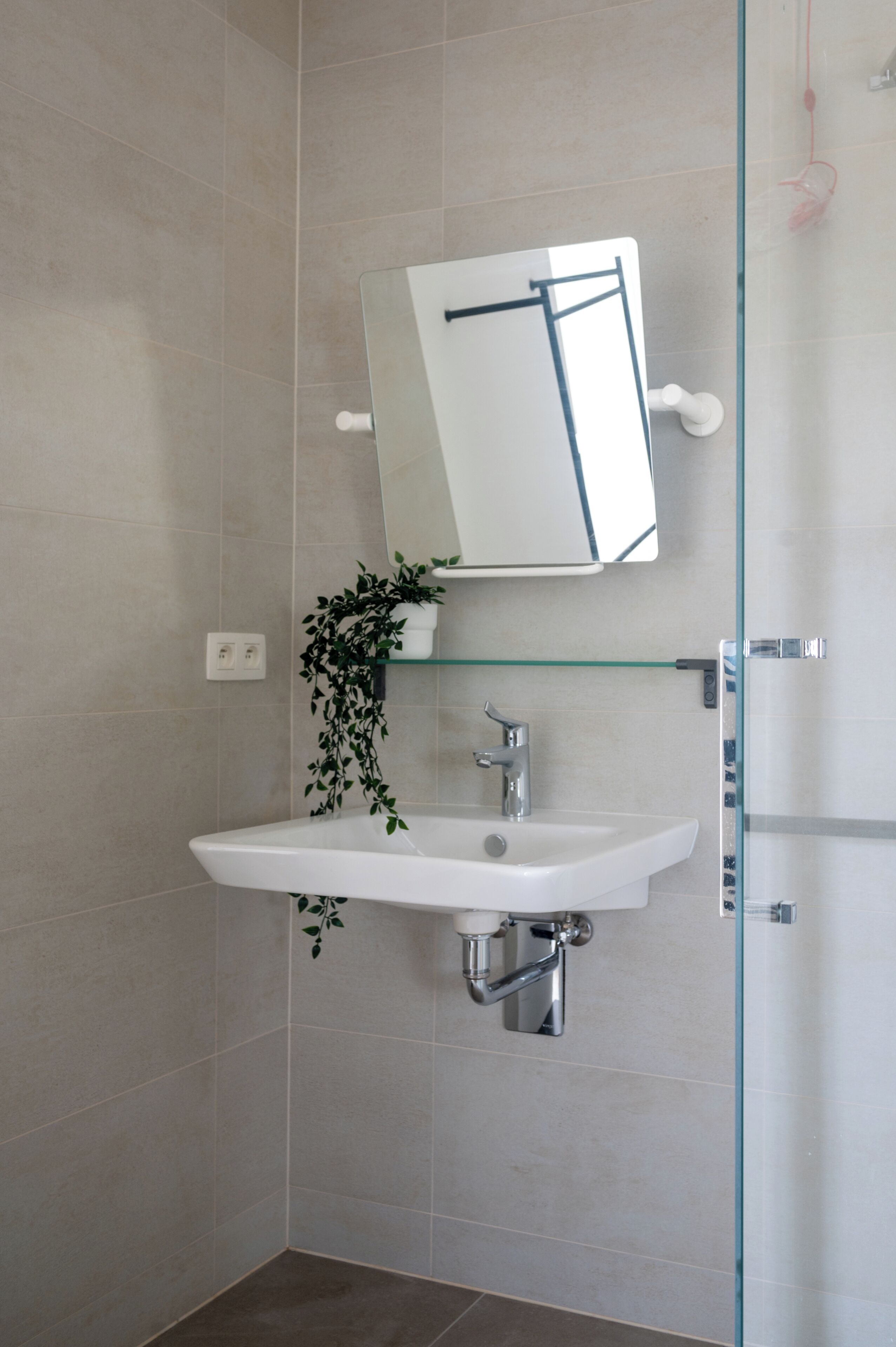 A modern bathroom with a white sink, a glass shower enclosure, and a potted plant.