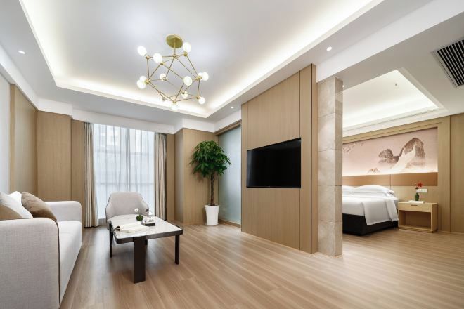 A modern hotel room with a wooden floor, a sofa, a table with a plant, a TV, and a bed with a nightstand.