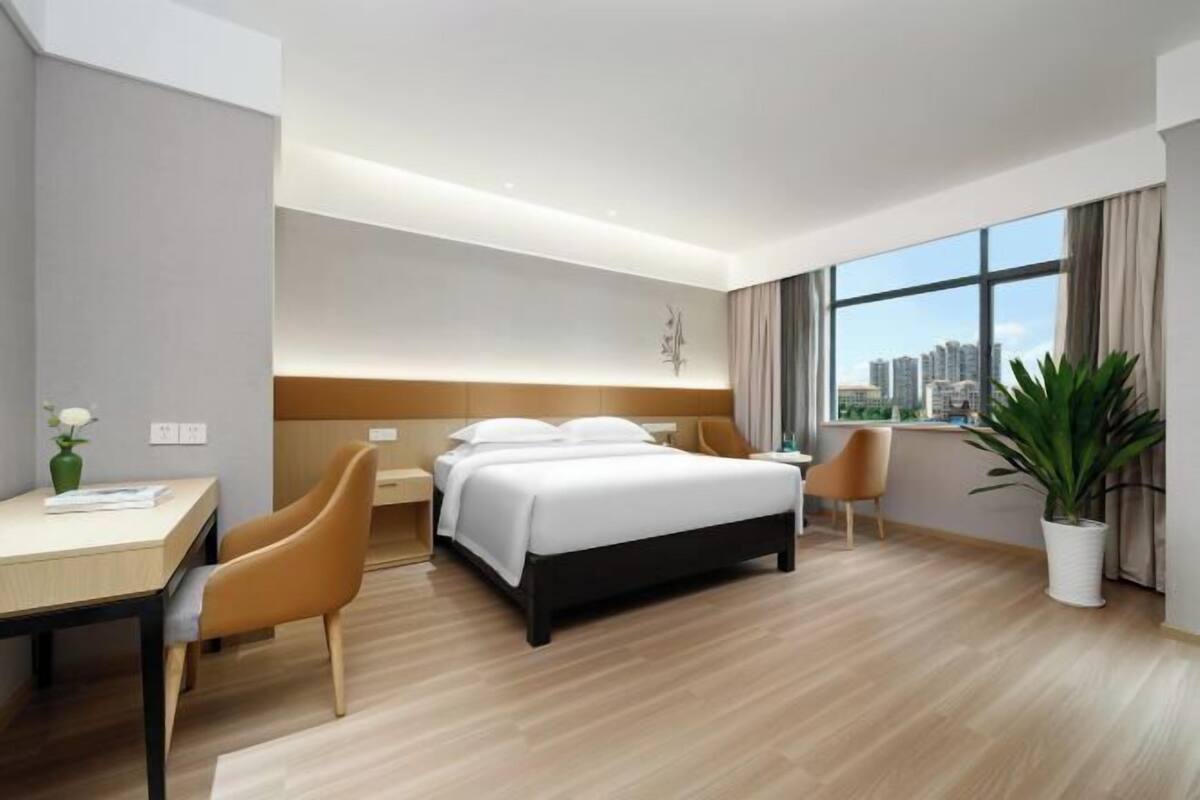 A hotel room with a bed, desk, chairs, a potted plant, and a large window with a city view.