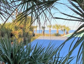 Property grounds - Private Home-Sleeps 10-quick walk to beach (St. Augustine)