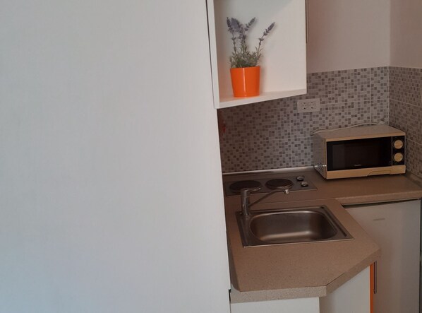 A kitchen with a microwave, sink, and a potted lavender plant on a shelf.