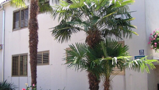 A building with a white facade, multiple windows with shutters, and a stone base. - Apartments Alba - Three Bedroom Apartment (Rovinj)