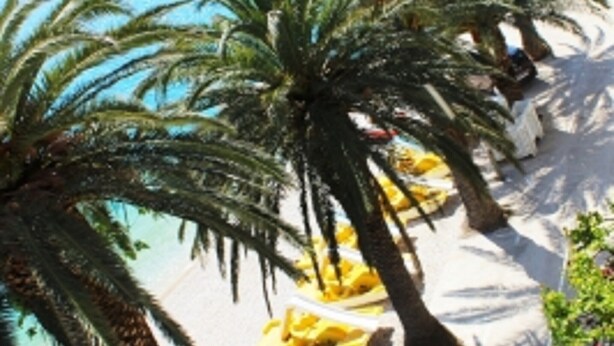 Una playa con palmeras y una silla amarilla.