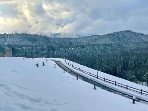 Snø- og skisport