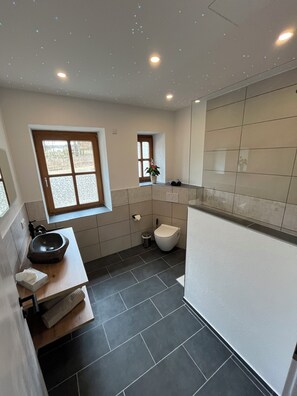 Shower, hair dryer, towels, toilet paper