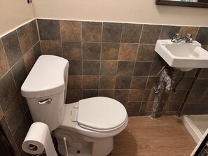 Shower, towels, toilet paper