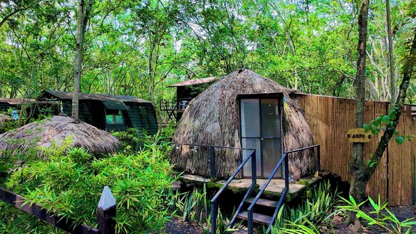 Exterior - "Domo Nativo: Adventure and Relaxation in the Heart of the Forest". (Útica)