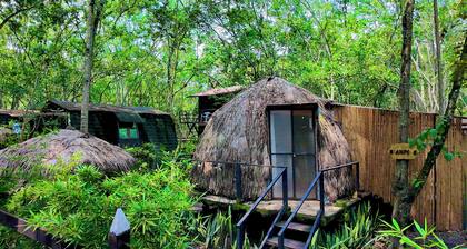 "Domo Nativo: Adventure and Relaxation in the Heart of the Forest".