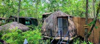 "Domo Nativo: Adventure and Relaxation in the Heart of the Forest".
