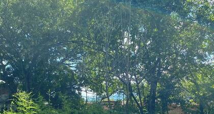 "Domo Nativo: Adventure and Relaxation in the Heart of the Forest".
